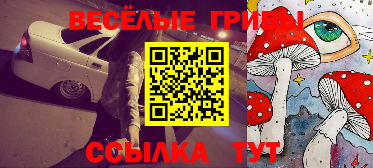 Псилоцибиновые грибы MAGIC MUSHROOMS  Псилоцибиновые грибы Psilocybine cubensis  Вход с VPN  Курск 